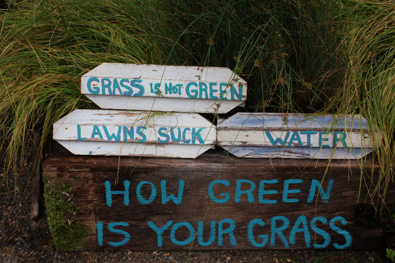 How Green is your Grass?